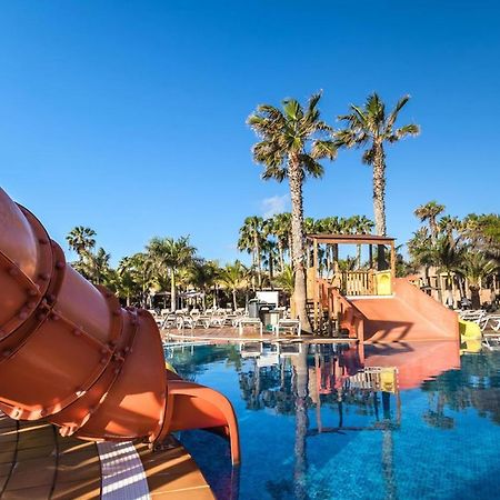 Family Apartment 1 Bedroom With Pool View - Oasis Duna Resort コラレホ エクステリア 写真